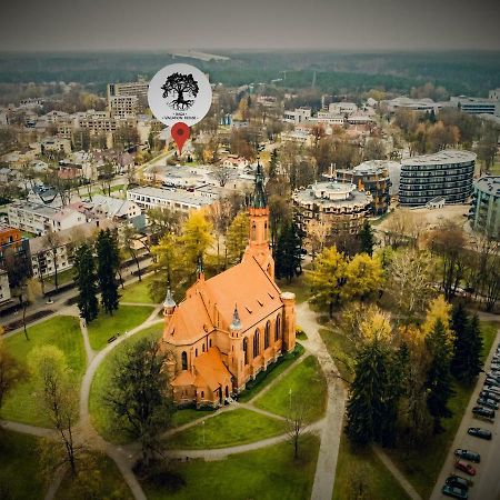 Inga Vacation House Druskininkai Exterior foto